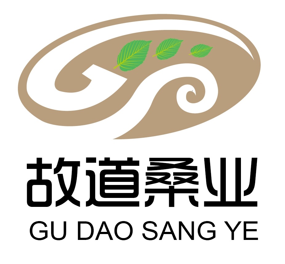 喝茶就可以防脫生發(fā)，太神奇了！桑葉養(yǎng)生茶