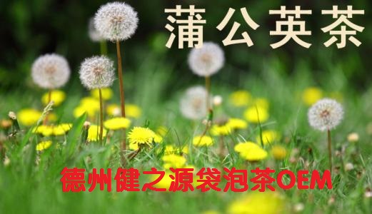 蒲公英茶，今天您喝了嗎？
